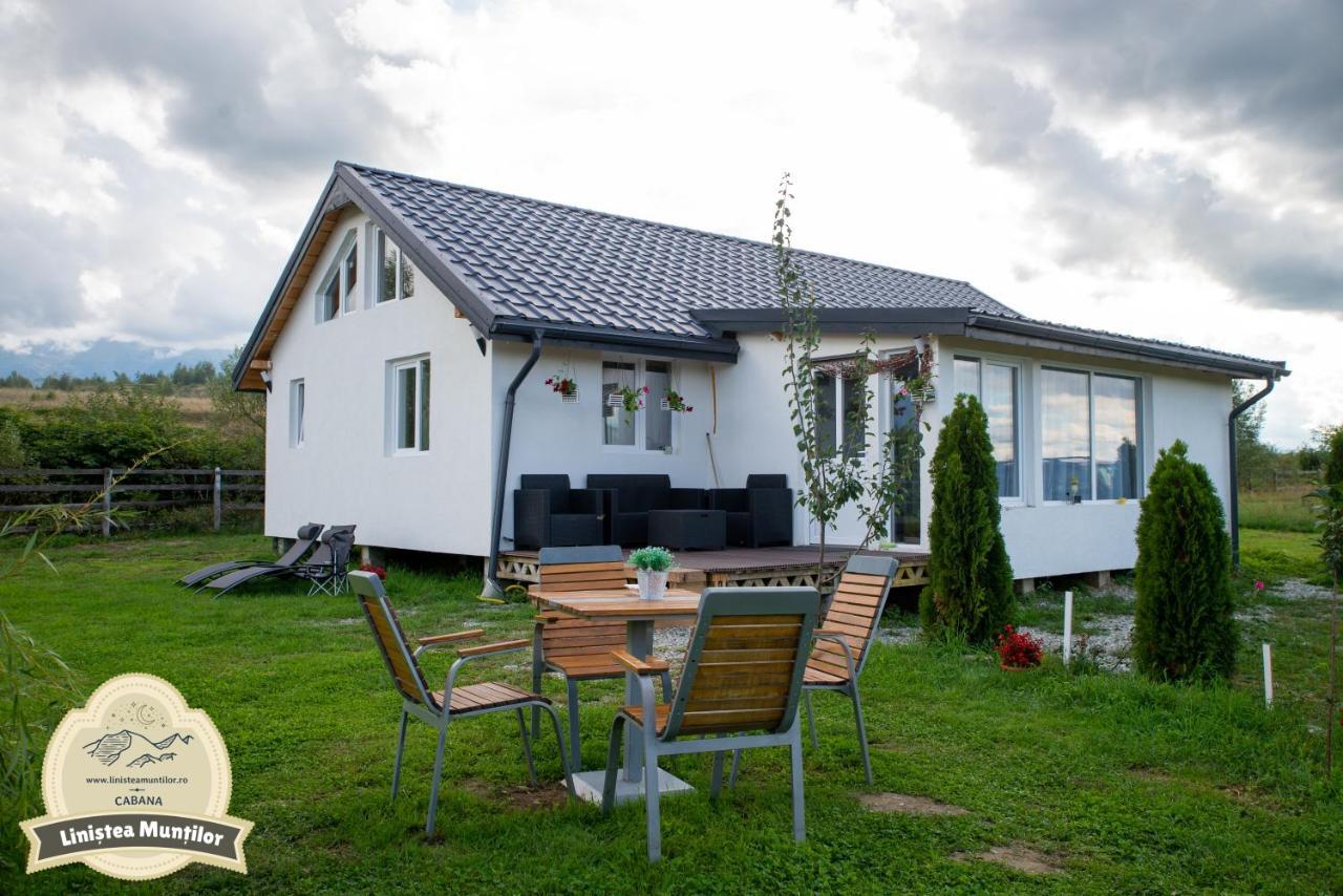 Linistea Muntilor Chalet Porumbacu de Sus Buitenkant foto
