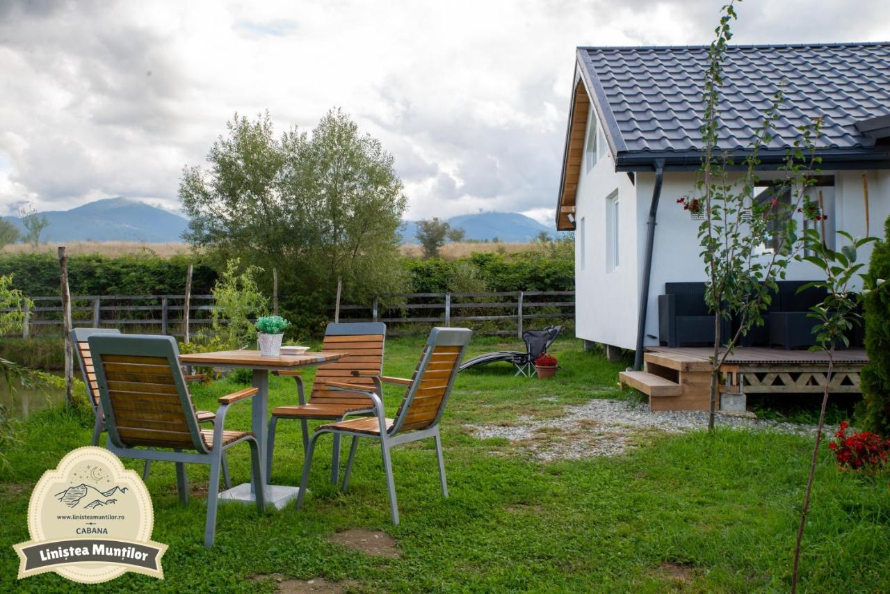 Linistea Muntilor Chalet Porumbacu de Sus Buitenkant foto